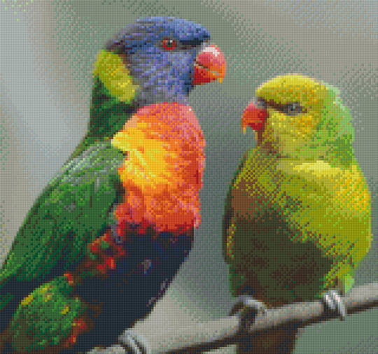 Two Parrots Twelve [12] Baseplate PixelHobby Mini-mosaic Art Kit